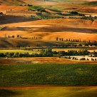Under The Tuscan Sun